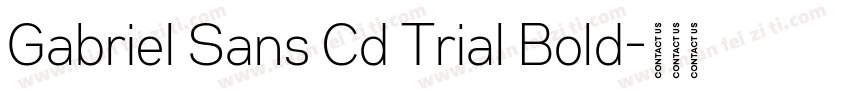 Gabriel Sans Cd Trial Bold字体转换